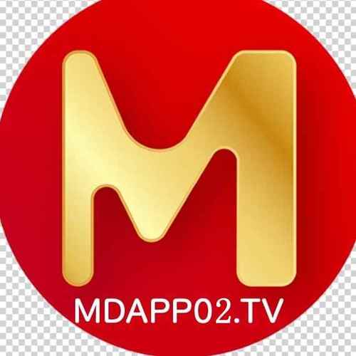 md短视频传媒网站官网