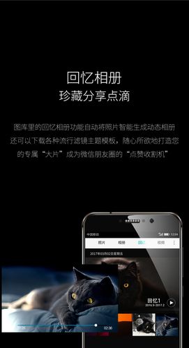 八一中文网小说