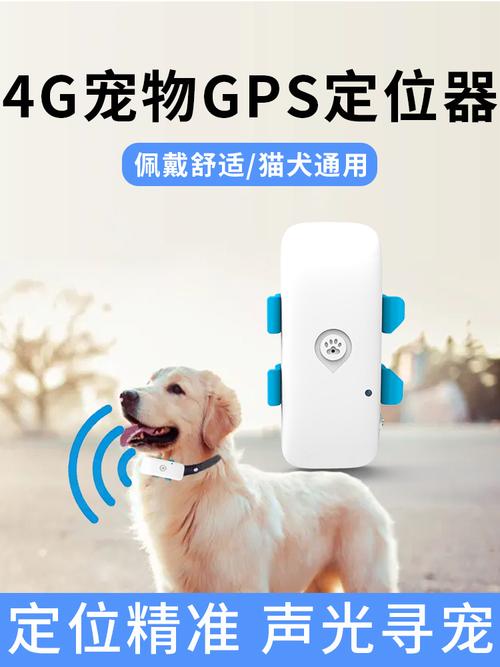 宠物定位器十大排名