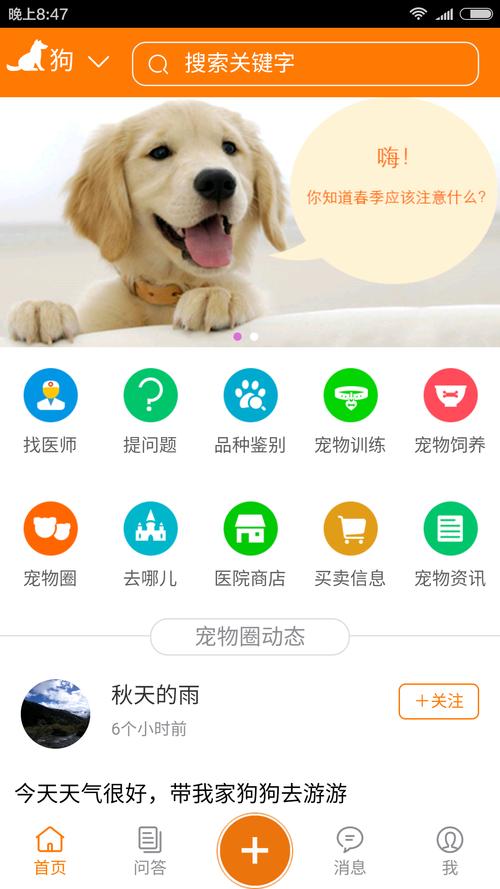 宠物医院系统软件排名