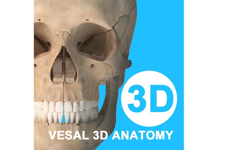维萨里3D免费版