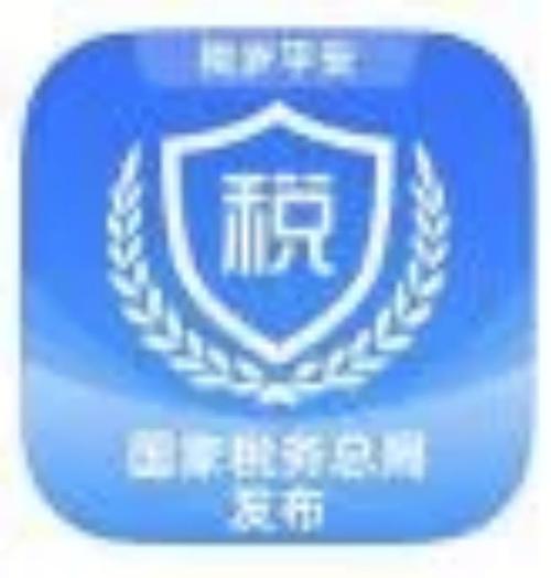 湖南省电子税务局手机版