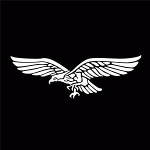 ifighter1945空战雄鹰