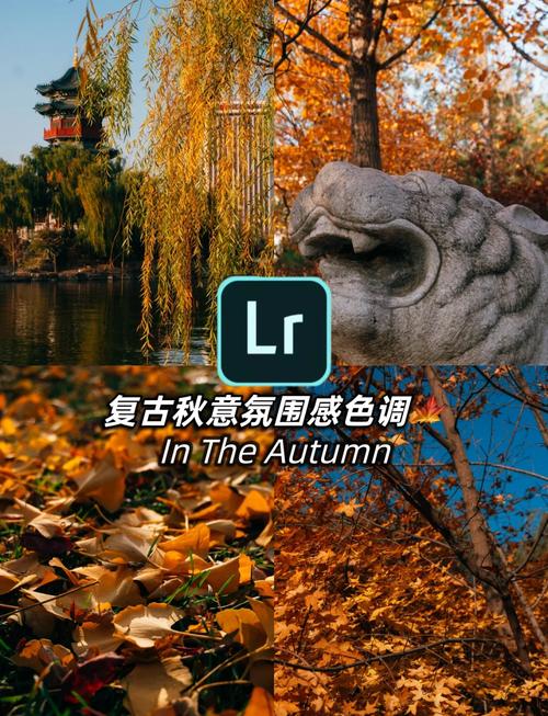 连线达人红包版下载