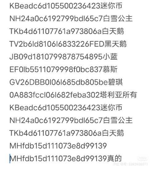 速喵加速器2022下载