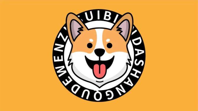 corgi柯基