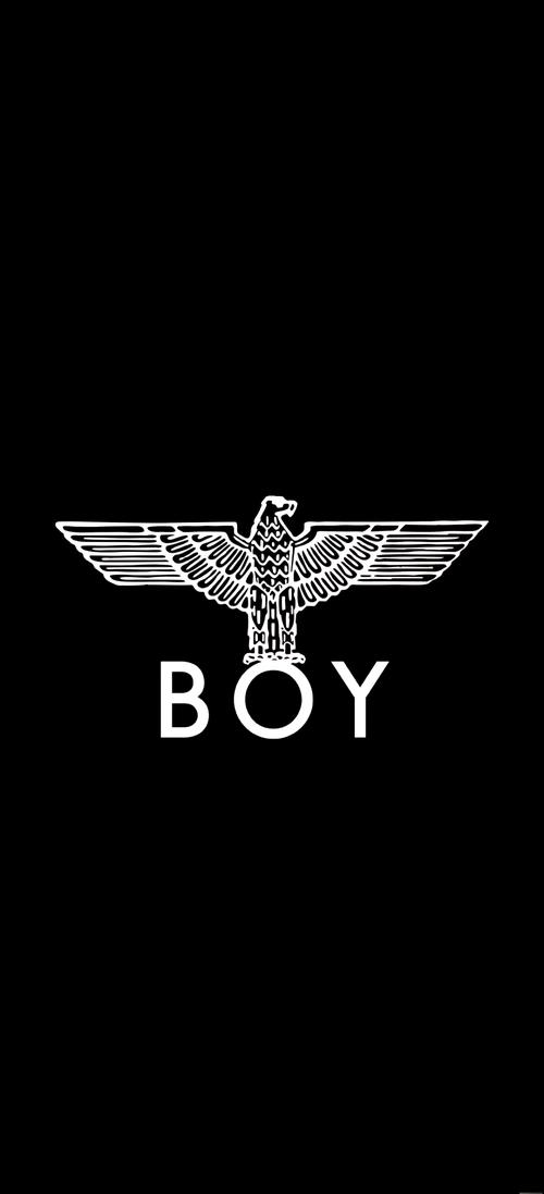 boylove安卓正版