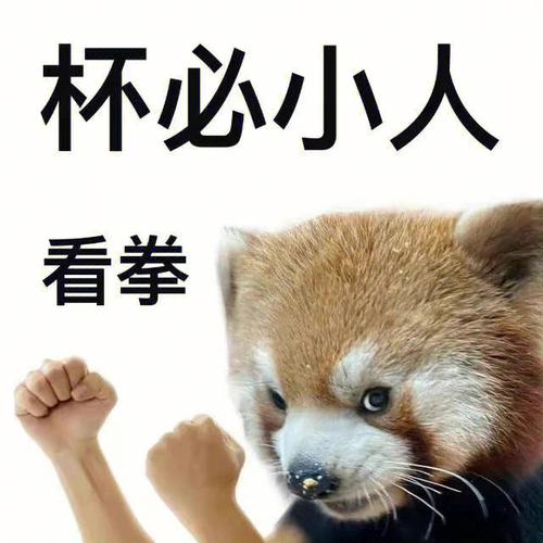 一锤打爆你