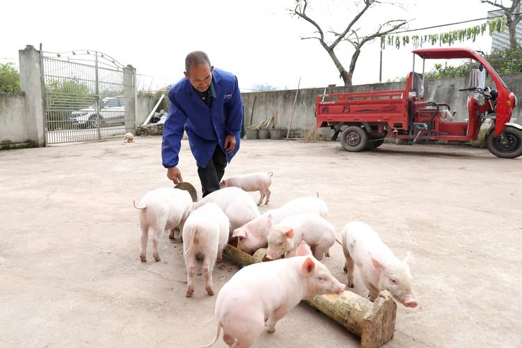 飞聊下载
