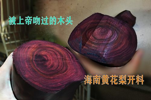 飞聊下载