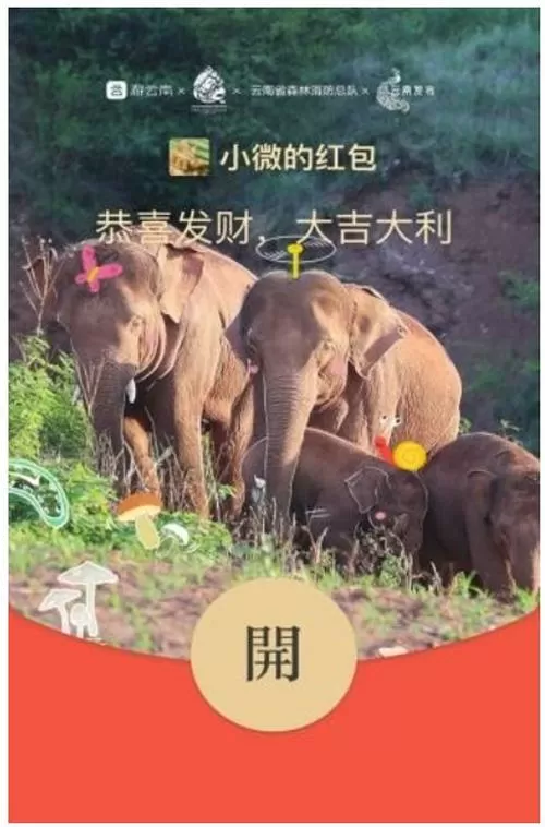 大象短视频红包版v1.0