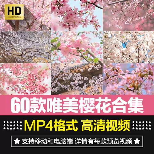 樱花短视频手机版